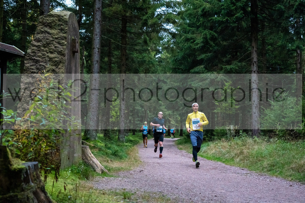 Rennsteiglauf 2021 | Marathon Neuhaus/Rwg. - Schmiedefeld