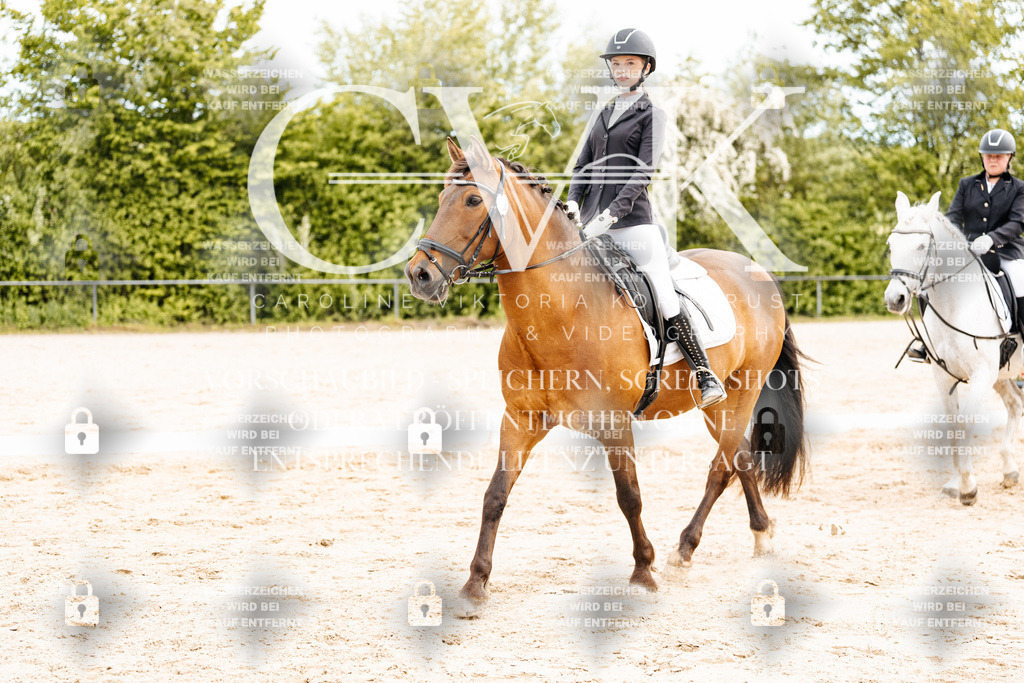 CK904801 | Turnierfotografie Pferdefotografie Trier Rheinland-Pfalz Pferdesport Reitsport Tierfotografie Sportfotografie Pferdevideo Pferdevideografie Equestrianvideography equestrianphotography  - Realisiert mit Pictrs.com