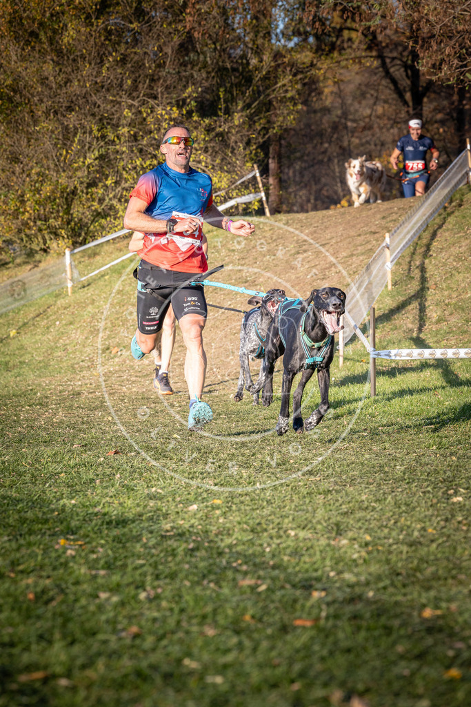 CaniXpix_0L8A0013 | Hundefotografie, Tierfotograf, Pfotenfotografie, Fotoshooting Hund, Hunde Portrait, Hundesport, Hundeportraits, Heideshooting, Hunde, Sportfotograf, Hundefotograf, Turnierhundsport, THS,  - Realisiert mit Pictrs.com