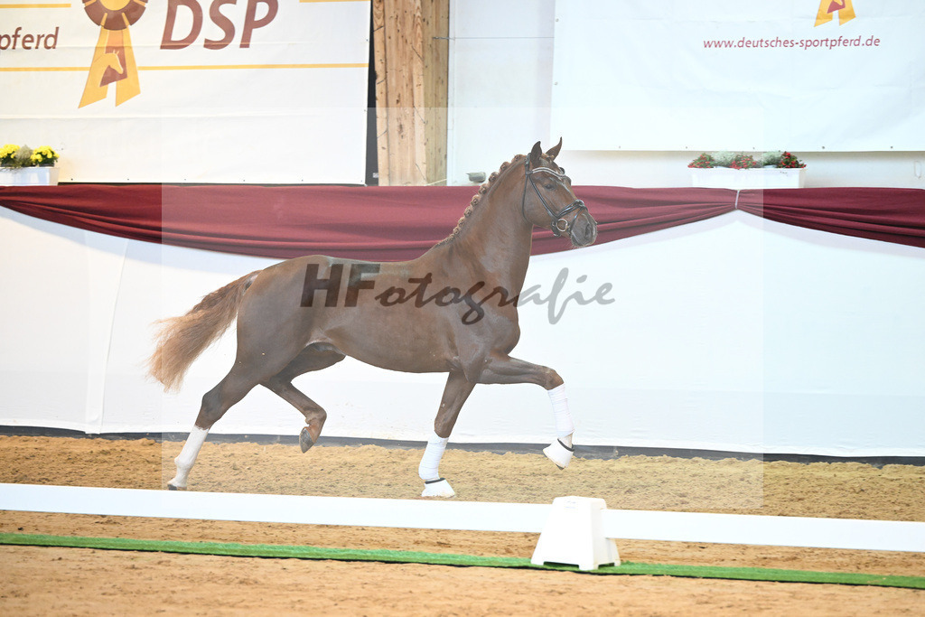 Kat-Nr. 74 v. Le Formidable_Maier_66220334 | hf-fotografie - Realisiert mit Pictrs.com