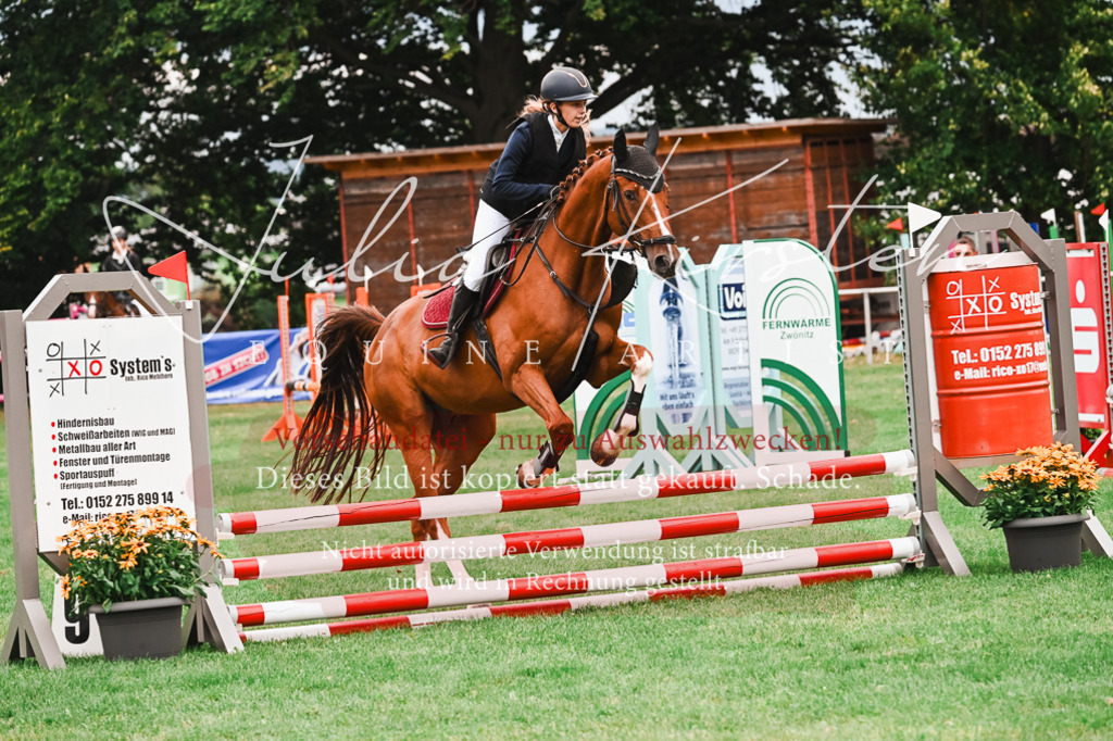 DSC_5912 | Pferde- und Turnierfotografie in Westsachsen. Pferdeportraits, Auftragszeichnungen und intuitive Kunst.
