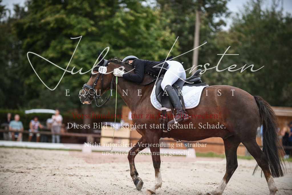 DSC_8183 | Pferde- und Turnierfotografie in Westsachsen. Pferdeportraits, Auftragszeichnungen und intuitive Kunst.