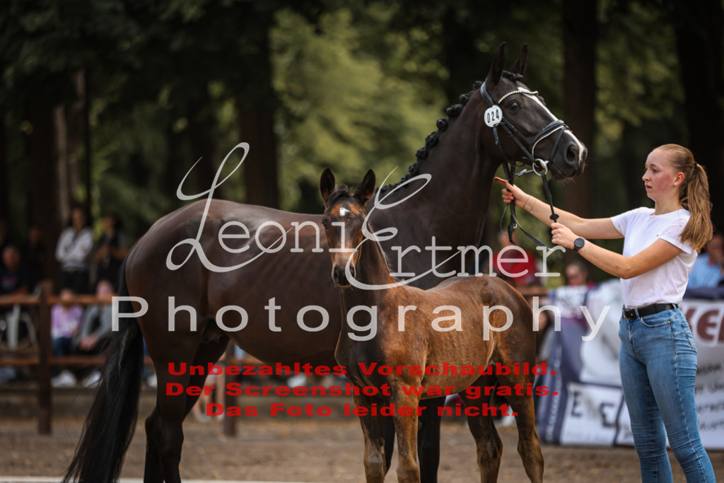 SaFohlen00211 | Leoni Ertmer Photography - Realisiert mit Pictrs.com
