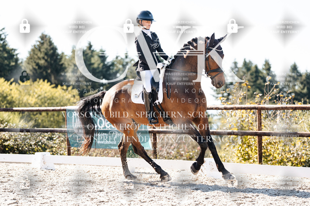 CK905733 | Turnierfotografie Pferdefotografie Trier Rheinland-Pfalz Pferdesport Reitsport Tierfotografie Sportfotografie Pferdevideo Pferdevideografie Equestrianvideography equestrianphotography  - Realisiert mit Pictrs.com