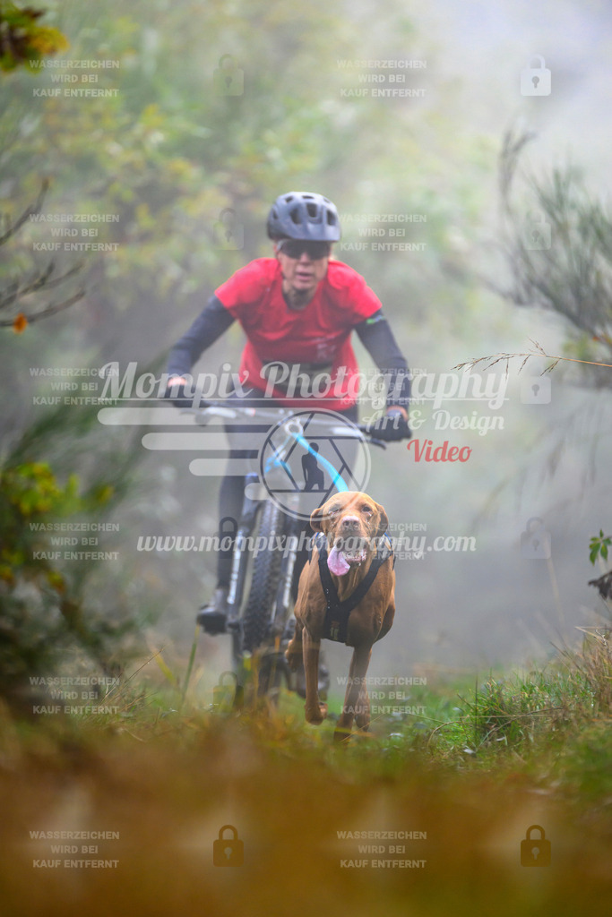MompixPhotography_20TSB_E4_Bike-70 | PayLife