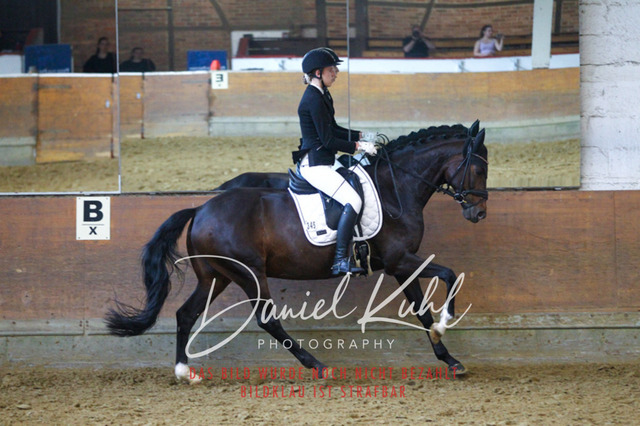 DKP43553 | Turniersportfotografie; Pferdefotografie; Dressurfotografie