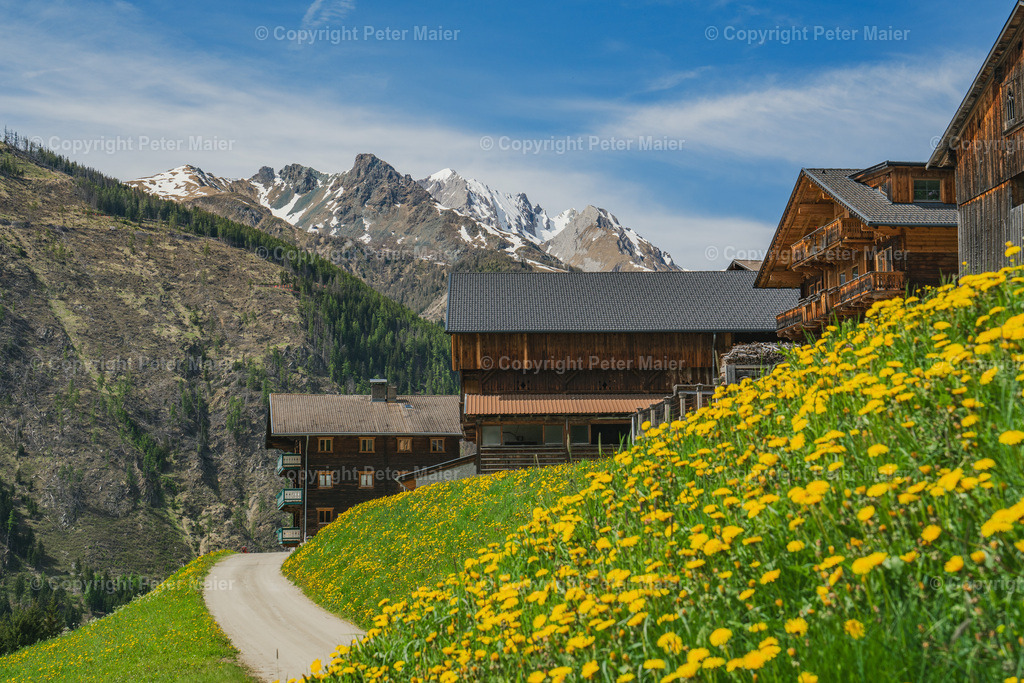 Bike_Frühling_Kalsertal-70 | piet_flosse