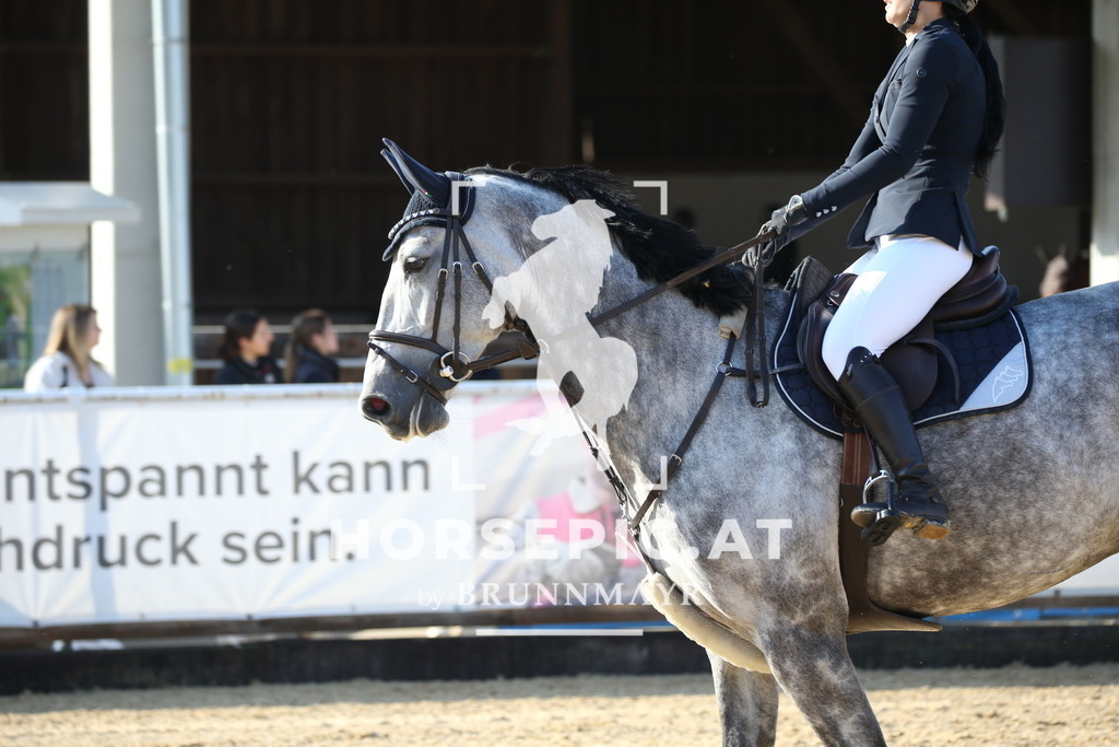 DL2Q5573 | Willkommen bei Brunnmayr - Design & Fotografie – Ihrem Spezialisten für Reitturniere und Pferdeveranstaltungen in Oberösterreich, Salzburg und Bayern! Seit über 17 Jahren sind wir leidenschaftlich dabei.