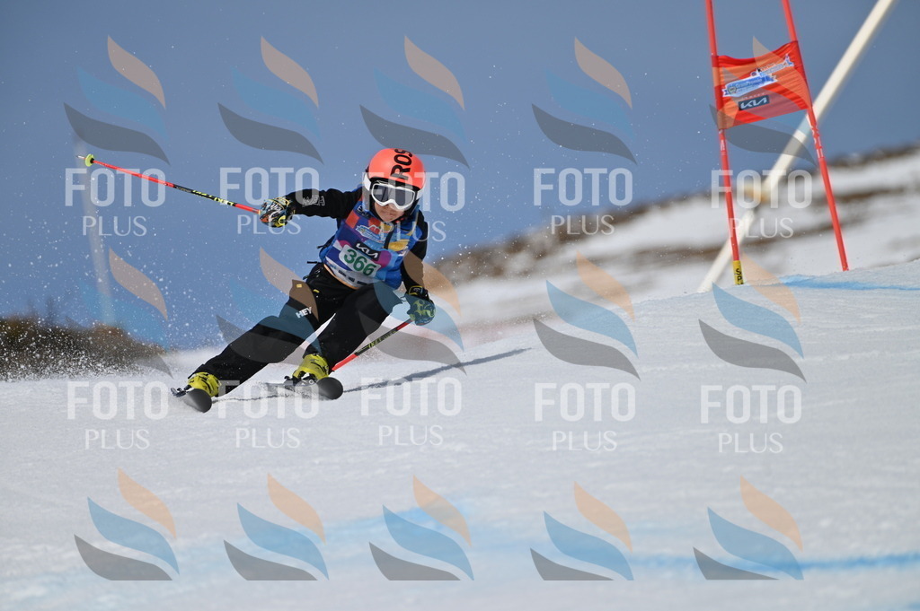 BGV_7233 | holidayphoto