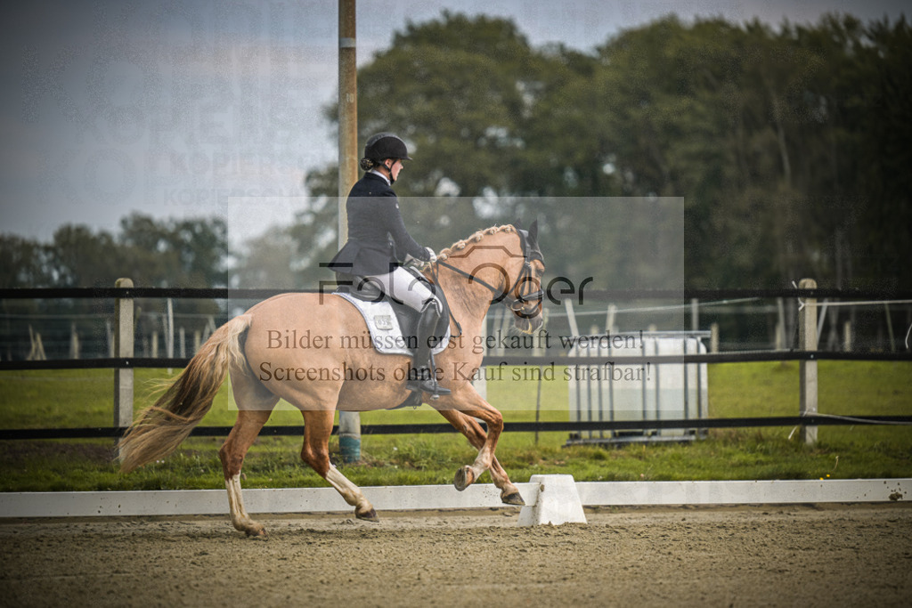 DOS_B547 | Entdecke hochwertige Reitturnierfotos von Foto Oger. Professionell, emotional und authentisch – jetzt Lieblingsmomente im Shop bestellen.Deutschlandweite Turnierfotografie. - Realisiert mit Pictrs.com