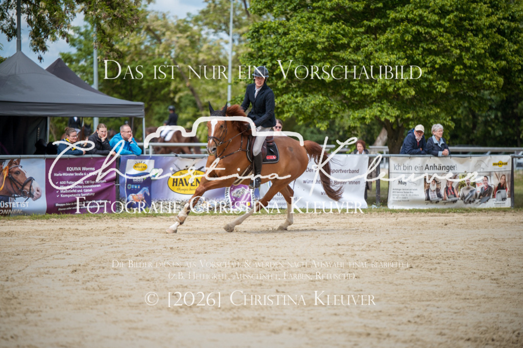 DSC_6135 | Christina-Kleuver