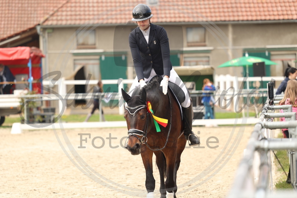 994A7053 | sabrinanicolaifotografie - Realisiert mit Pictrs.com