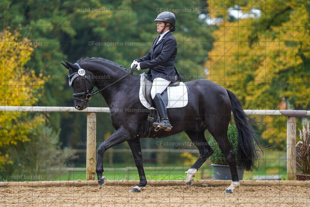 20221008-FAH01654 | Diessen am Ammersee, 2022, Dressur- und Springturnier, Reitsportbilder, Turnierfotografen Bayern, Pferdefotografen, Fotoagentur Herrmann, Turnierbilder