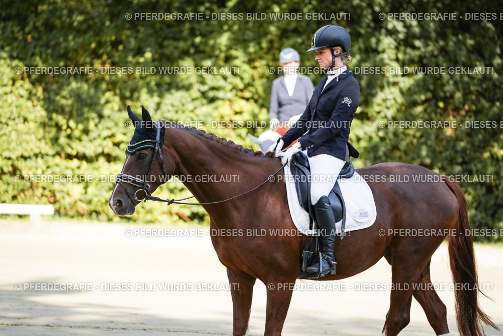 DSC06997 | Pferdegrafie