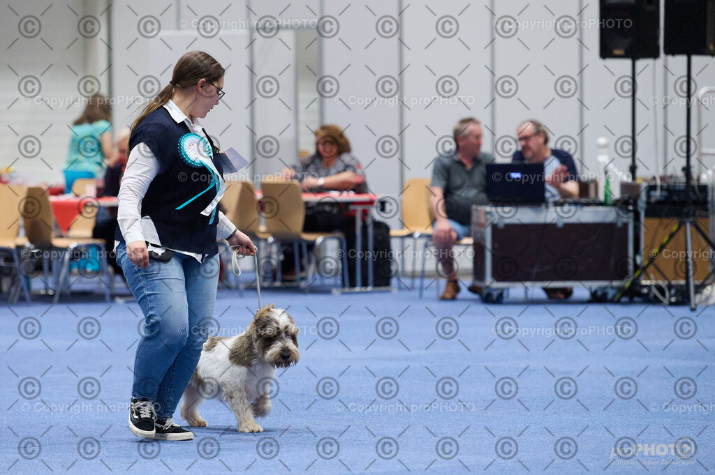 202406_ÖKV-IHA-Tulln24_DSC_3083 | proPHOTO - Realisiert mit Pictrs.com