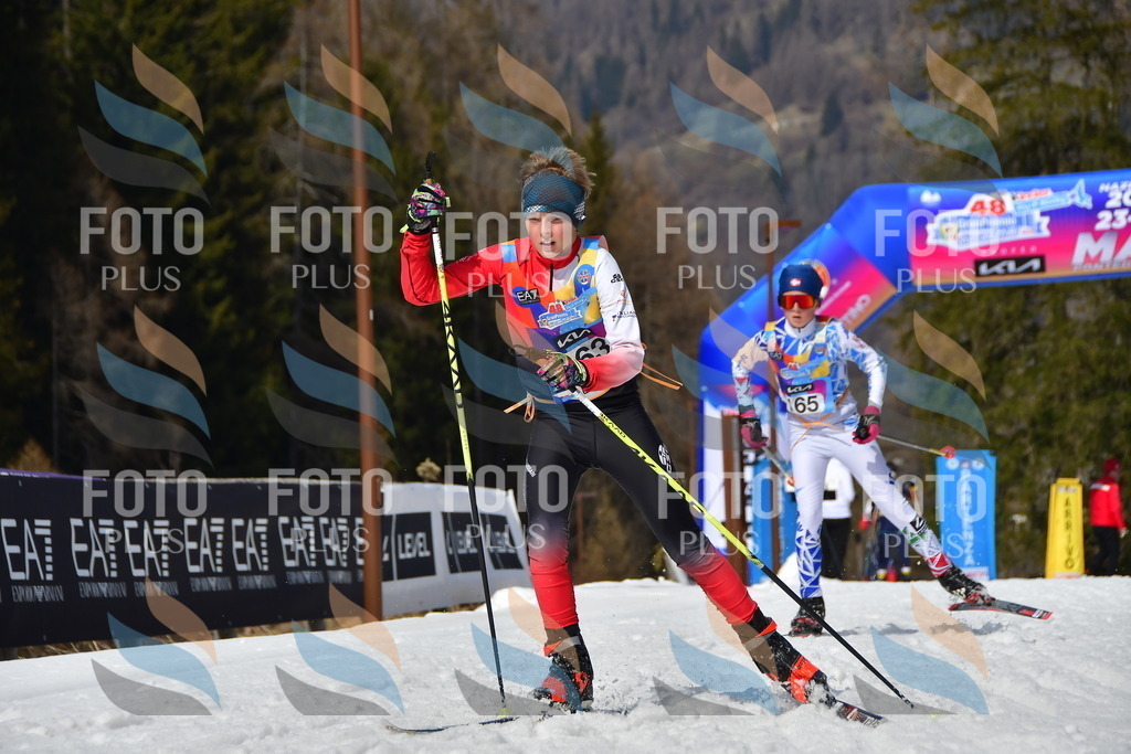 _DSC0847 | holidayphoto