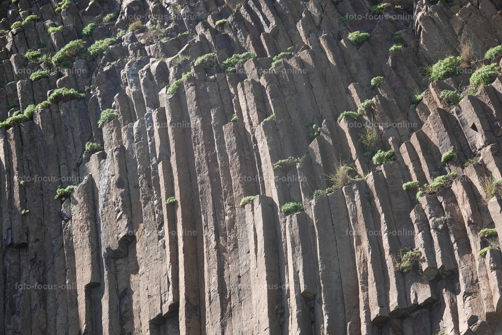 DSC00009 | foto-focus-online