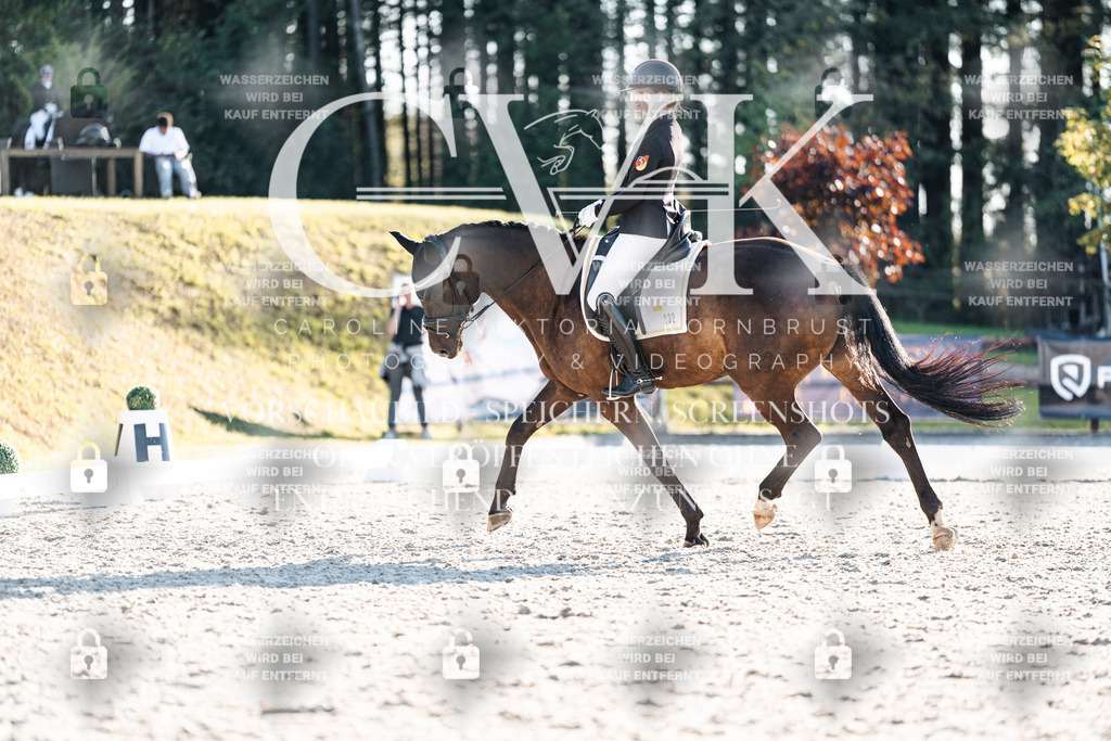 CK907147 | Turnierfotografie Pferdefotografie Trier Rheinland-Pfalz Pferdesport Reitsport Tierfotografie Sportfotografie Pferdevideo Pferdevideografie Equestrianvideography equestrianphotography  - Realisiert mit Pictrs.com