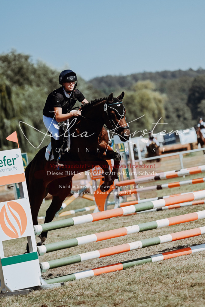 DSC_9906 | Pferde- und Turnierfotografie in Westsachsen. Pferdeportraits, Auftragszeichnungen und intuitive Kunst.