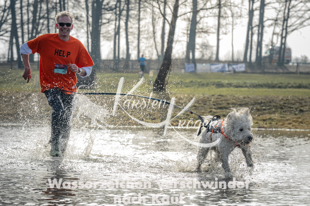 0950_ZZ94214 | kk-dogfotos