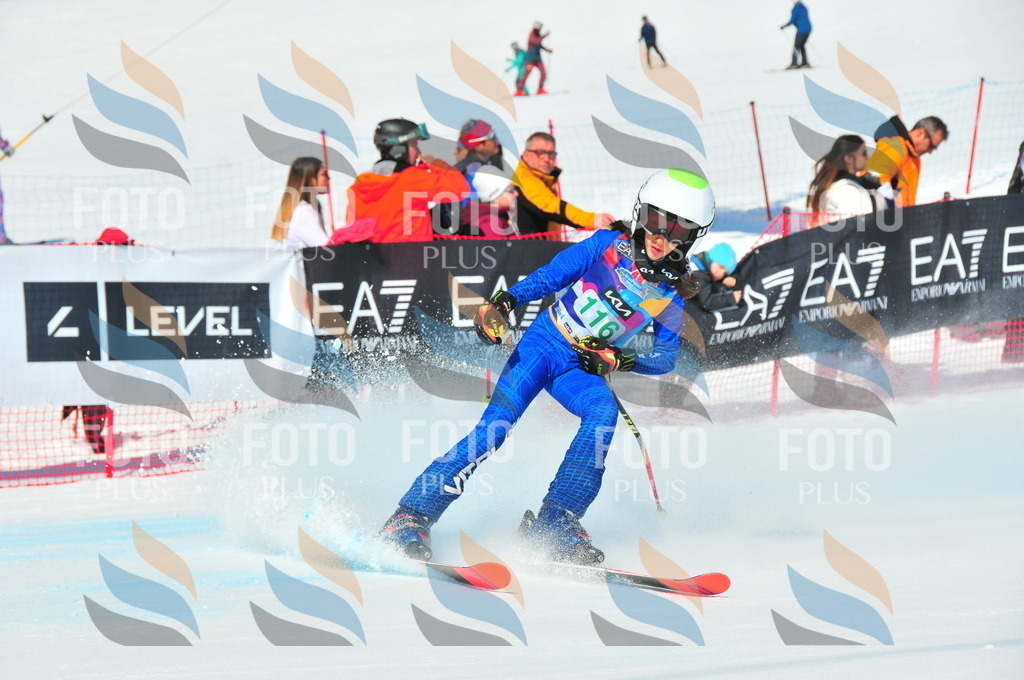 DSC_0899 | holidayphoto