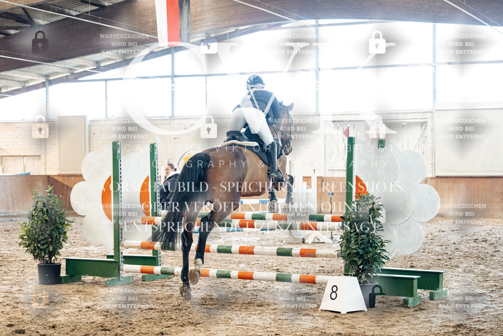 CK904801 | Turnierfotografie Pferdefotografie Trier Rheinland-Pfalz Pferdesport Reitsport Tierfotografie Sportfotografie Pferdevideo Pferdevideografie Equestrianvideography equestrianphotography  - Realized with Pictrs.com