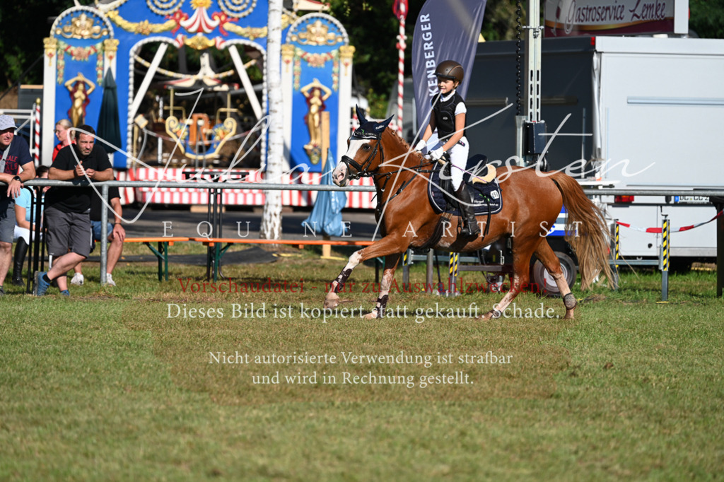 DSC_4966 | Pferde- und Turnierfotografie in Westsachsen. Pferdeportraits, Auftragszeichnungen und intuitive Kunst.