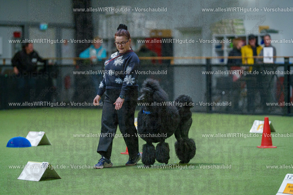 7R503454 | Professionelle Tierfotografie in Mönchengladbach von Daniel Wirth (allesWIRTHgut). Liebevolle & natürliche Bilder von Hunden & Katzen für unvergessliche Erinnerungen.