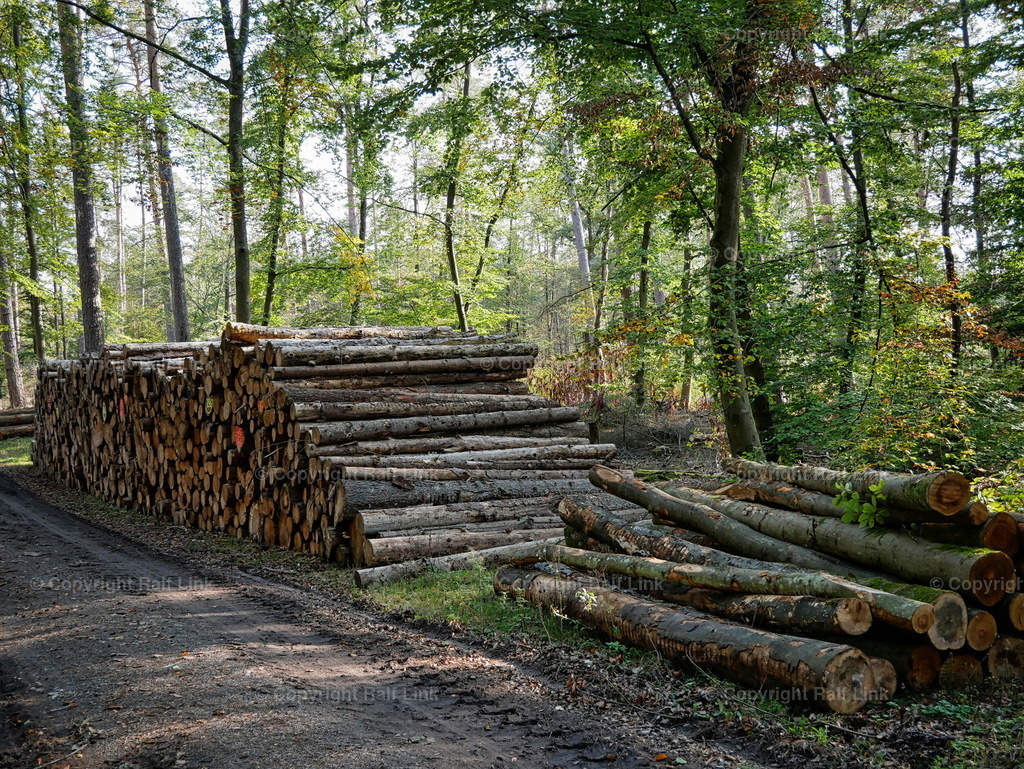 P1000515 | Stockfotos, Fotos mit Miniaturfiguren und kreativen Ideen. Dabei auch vieles aus der Metropolregion Rhein-Neckar. 
