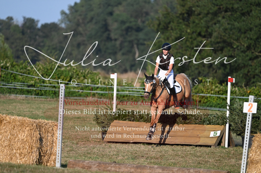 DSC_9245 | Pferde- und Turnierfotografie in Westsachsen. Pferdeportraits, Auftragszeichnungen und intuitive Kunst.