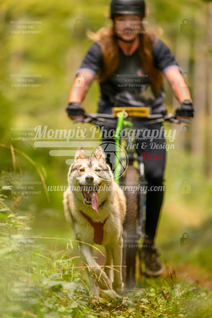 MompixPhotography_Yens2025_B2-120 | PayLife
