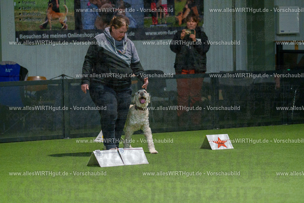 7R507534 | Professionelle Tierfotografie in Mönchengladbach von Daniel Wirth (allesWIRTHgut). Liebevolle & natürliche Bilder von Hunden & Katzen für unvergessliche Erinnerungen.