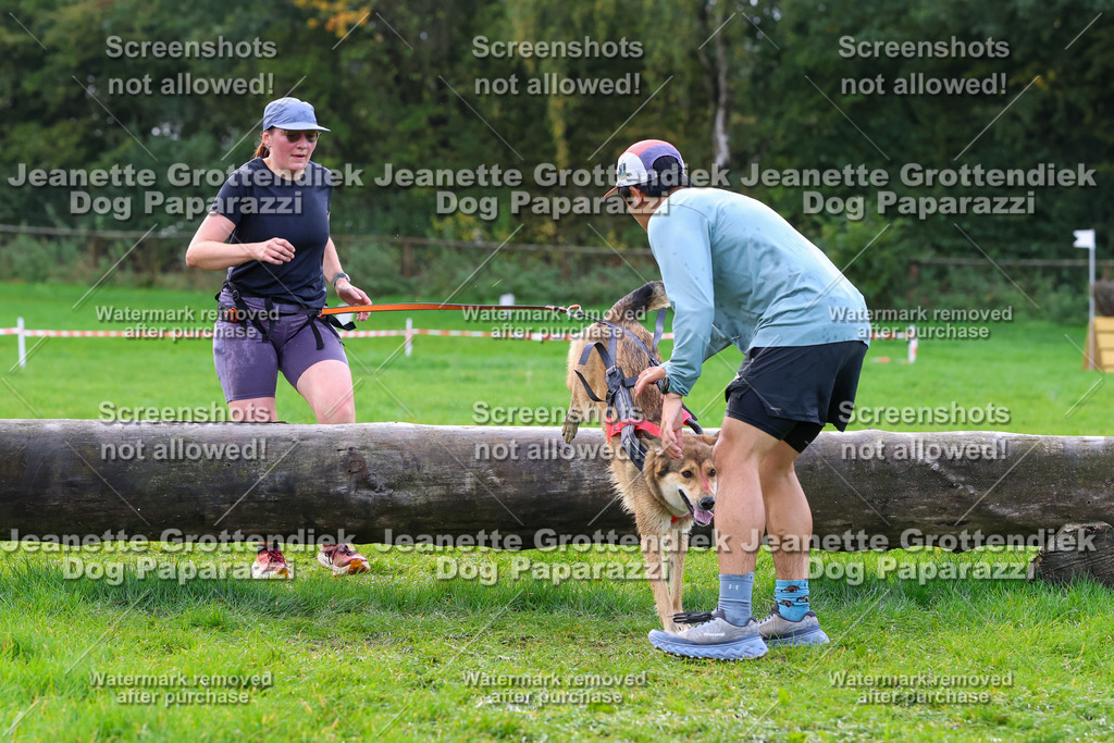 Dog Paparazzi -  SD1026-2249 | Dog Paparazzi Jeanette Grottendiek Fotografie & Videografie - Realisiert mit Pictrs.com