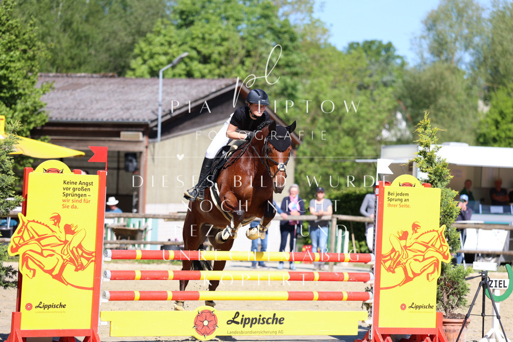 IMGS6791 | pl-fotografie