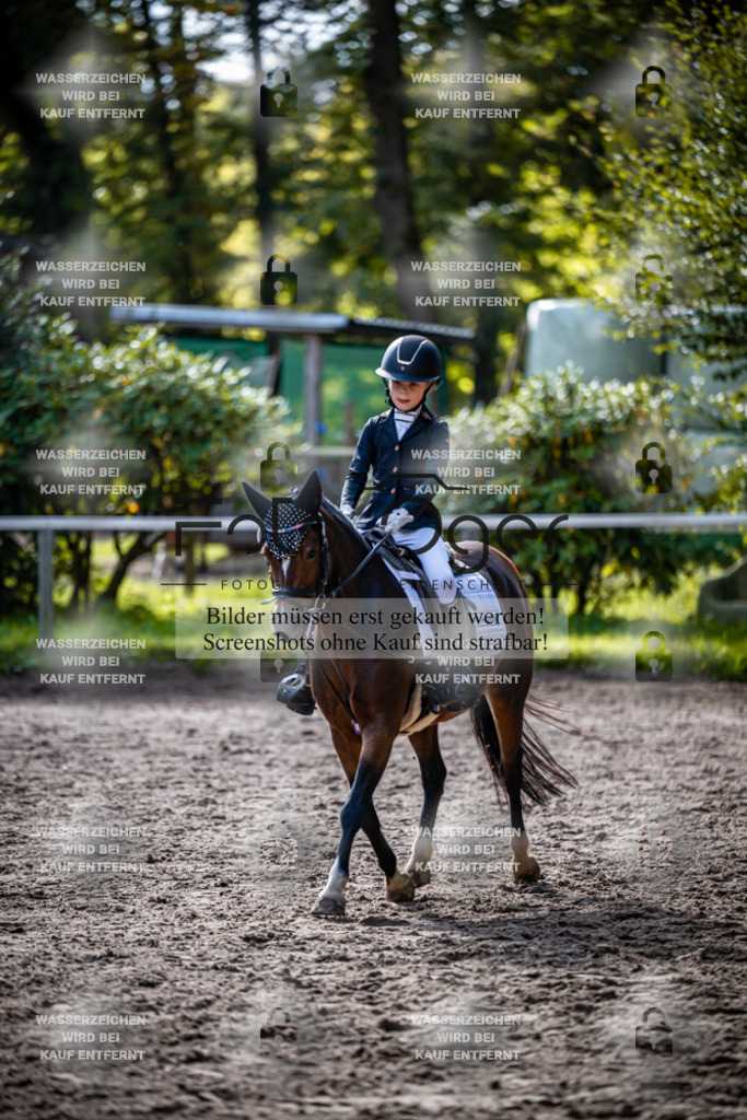 2026-10-Helle-20-4-0045 | Entdecke hochwertige Reitturnierfotos von Foto Oger. Professionell, emotional und authentisch – jetzt Lieblingsmomente im Shop bestellen.Deutschlandweite Turnierfotografie. - Realisiert mit Pictrs.com