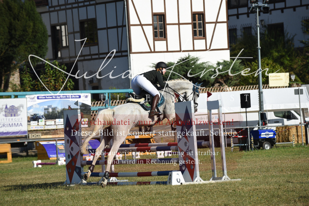 DSC_5209 | Pferde- und Turnierfotografie in Westsachsen. Pferdeportraits, Auftragszeichnungen und intuitive Kunst.