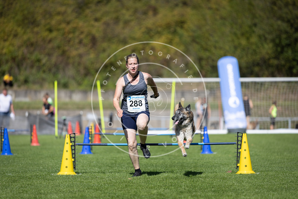 Pfotenfotografie_DV3A7326 | Hundefotografie, Tierfotograf, Pfotenfotografie, Fotoshooting Hund, Hunde Portrait, Hundesport, Hundeportraits, Heideshooting, Hunde, Sportfotograf, Hundefotograf, Turnierhundsport, THS,  - Realisiert mit Pictrs.com