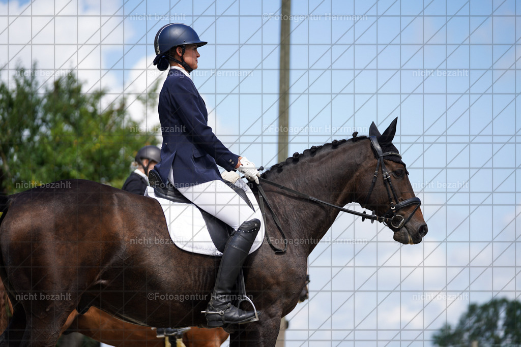 20230826-FAH05521 | Forstinning, 2023, Dressurturnier, Turniersportbilder, Turnierfotografen Bayern, Fotoagentur Herrmann, Reitsportfotografie, Turnierbilder