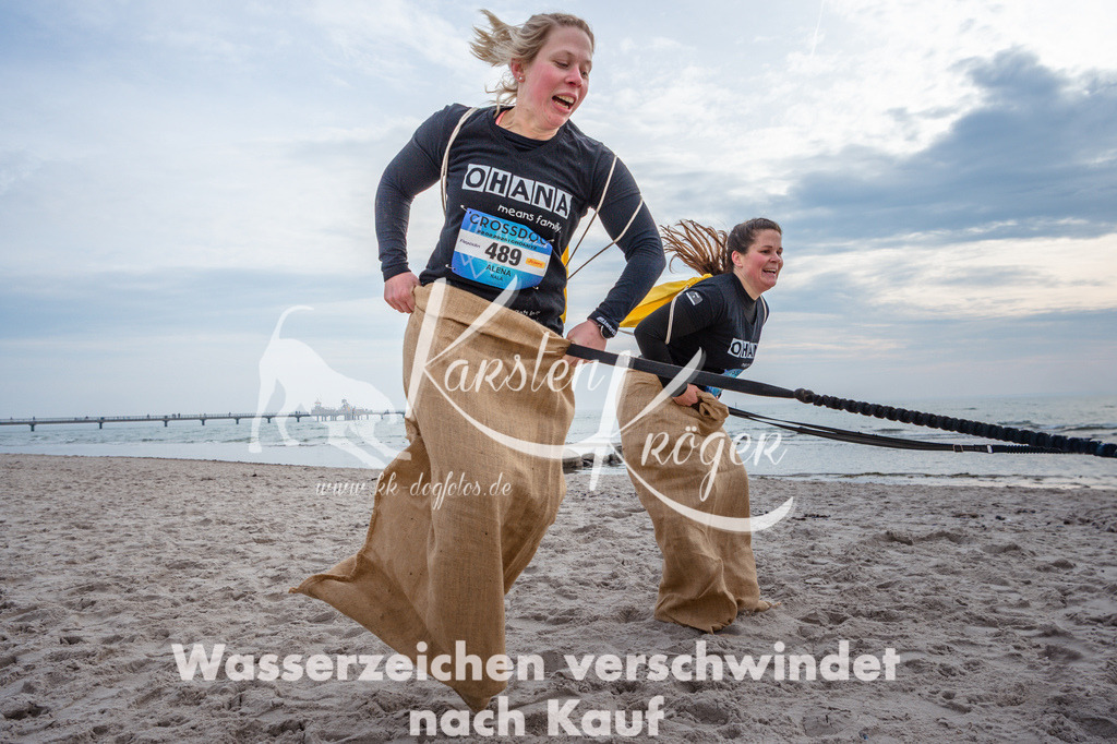 1138STR_9223 | kk-dogfotos