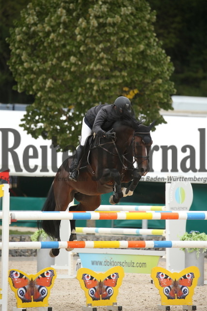 Villingendorf_2022_Prfg.Nr.08_zwei Phasen_Springprfg.Kl.M_Youngster_Jochen Teufel_Hardy T (3) | Alle Fotos der Reiterjournal Fotografin Doris Matthaes im Reiterjournal Online-Fotoshop. - Realisiert mit Pictrs.com