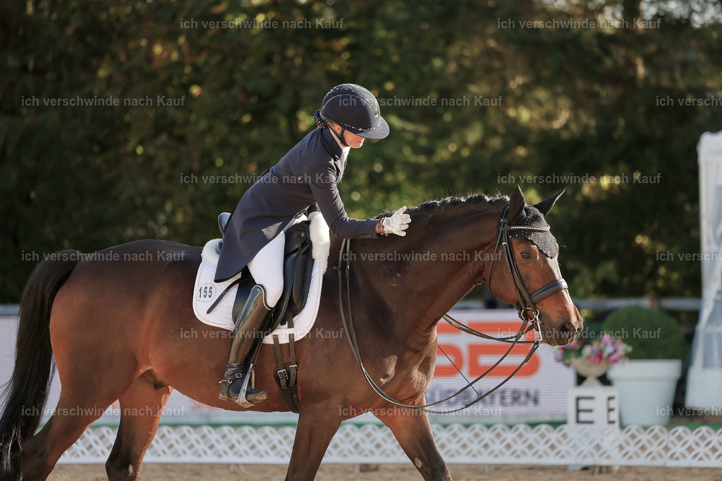 09_1-155-DRESSUR  S_  -StoibPH-5587 | working equitationturnier fotograf videograf stoibphotography marixx film working equitation deutschland reitsport turnierfotografie eventfotografie equestrian events
