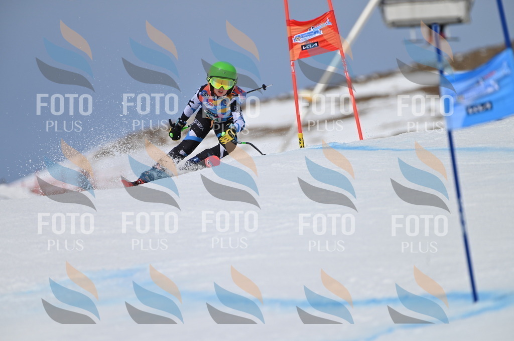 BGV_5864 | holidayphoto