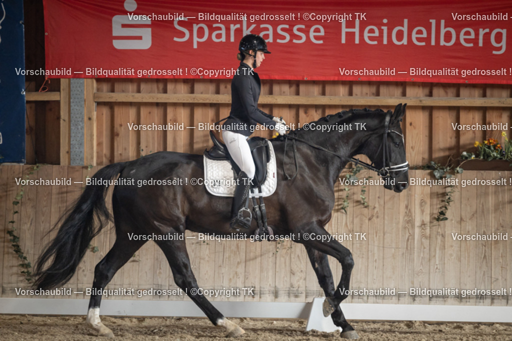 _D5A4351 | Emotionale Pferde- & People-Fotografie rund um Heidelberg, Leimen & Umgebung. Natürliche Fotos von Pferd, Mensch & Familie. Jetzt Termin sichern!