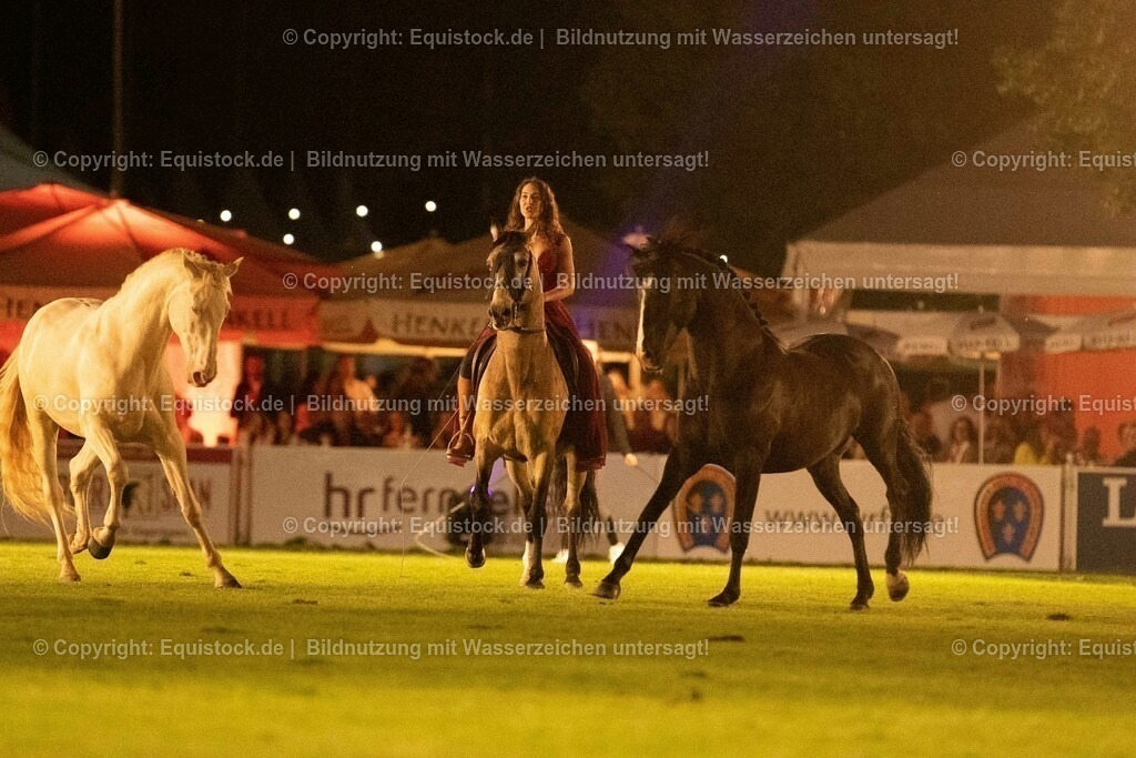 20230526_Pferdenacht_1499 | equistock