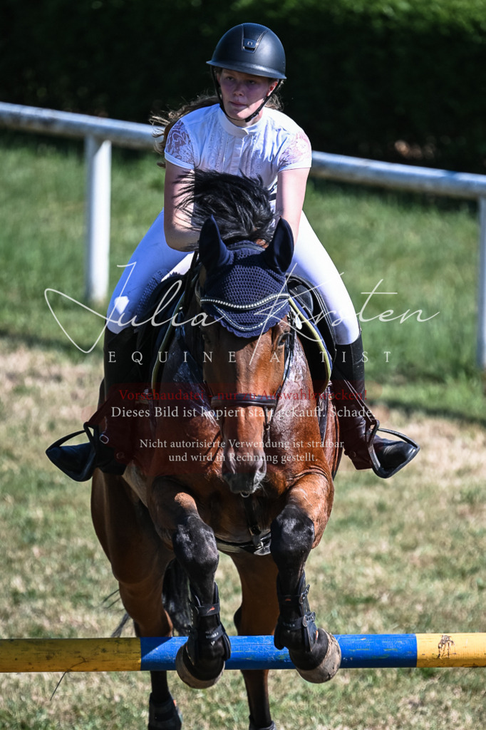 DSC_1886 | Pferde- und Turnierfotografie in Westsachsen. Pferdeportraits, Auftragszeichnungen und intuitive Kunst.