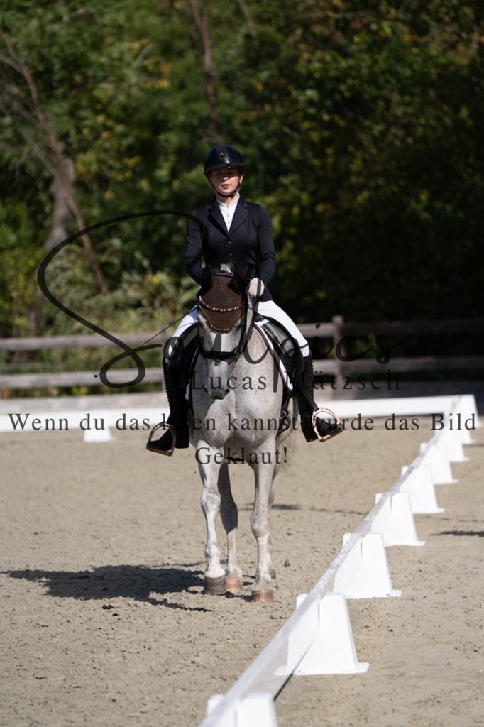 A7V07049 | Turnier/Reitfotograf