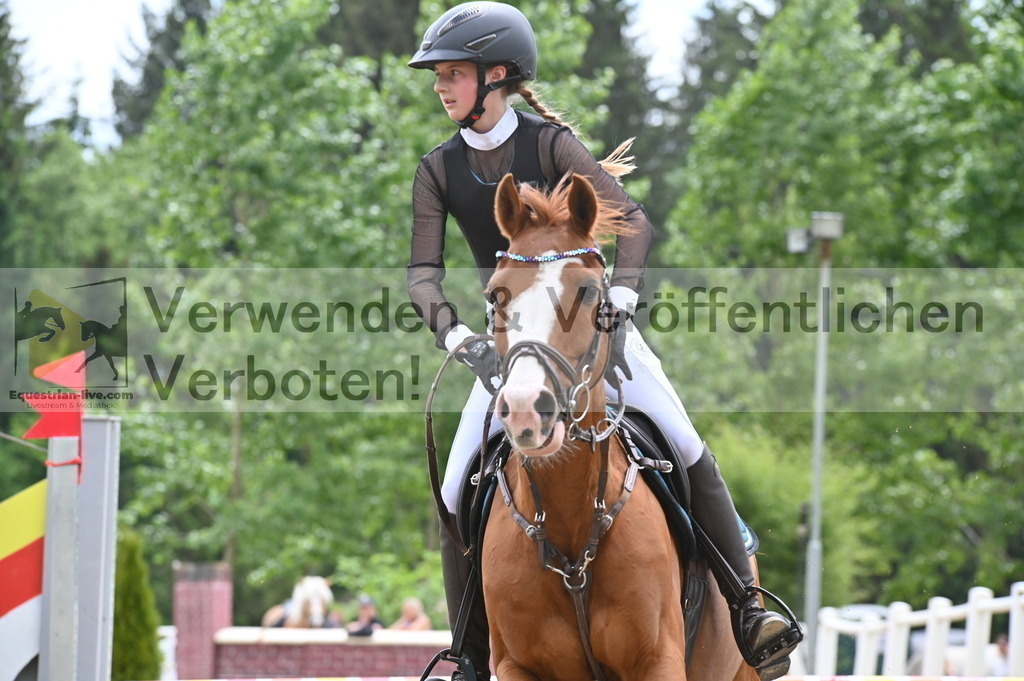 DSC_8376 | equestrian-live-com