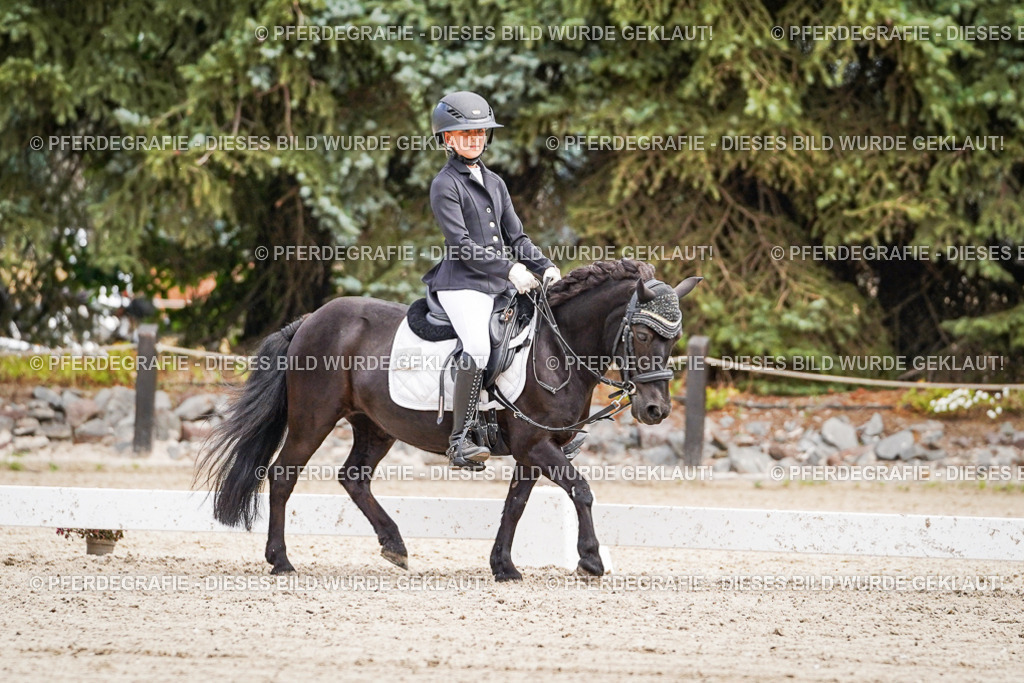 DSC02857 | Pferdegrafie