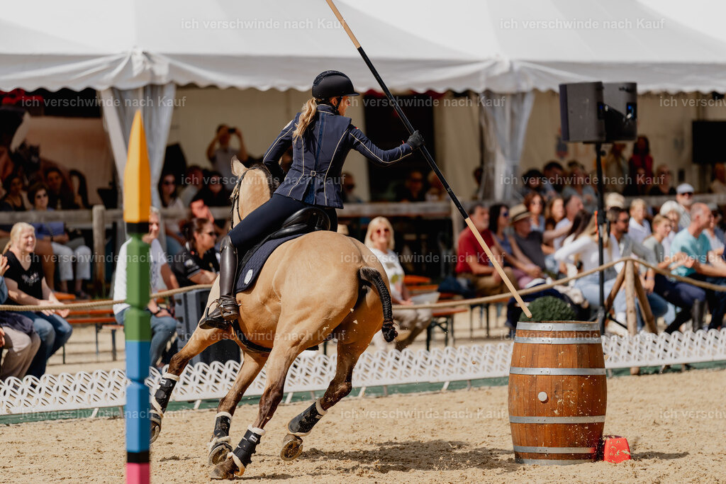 Diana11_FHC2025-2948 | working equitationturnier fotograf videograf stoibphotography marixx film working equitation deutschland reitsport turnierfotografie eventfotografie equestrian events