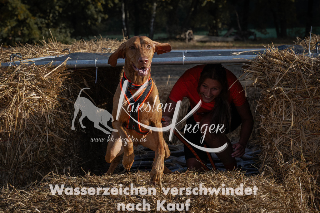 0956_ZZ95545 | kk-dogfotos